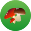Mushrooms Free