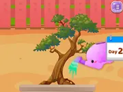 Blonde Sofia: Zen Bonsai