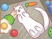 Sara Vet Life Ep11: Ferret