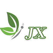 Jingxi information Studio Games - Y8.com