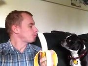 Sharing His Banana