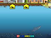 Miami Shark Walkthrough