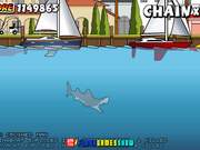 Miami Shark Walkthrough