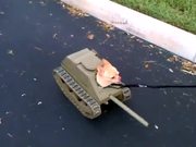 Tank Dog