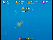 My Dolphin Show Walkthrough