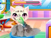 Stray Kitty Care Walkthrough