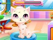 Stray Kitty Care Walkthrough