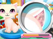 Stray Kitty Care Walkthrough