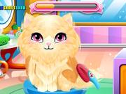 Stray Kitty Care Walkthrough