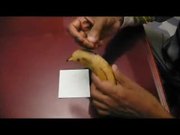 Magic Banana Trick
