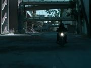 Stray Official Trailer