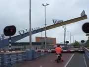 Unique Bridge Design