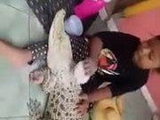 Abnormal Weird Friends