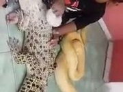 Abnormal Weird Friends