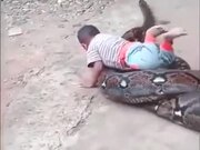 A Huge Python With Its Snack