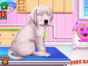 Labrador Puppy Day Care Walkthrough