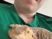 This Smiling Lizard Will Make Your Day