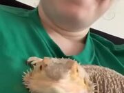 This Smiling Lizard Will Make Your Day