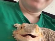 This Smiling Lizard Will Make Your Day