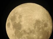 Full Moon (Zoom)