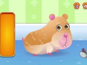 Pet Rescue Walkthrough