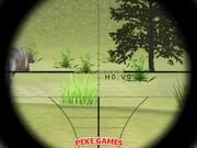 Classical Hippo Hunting Walkthrough