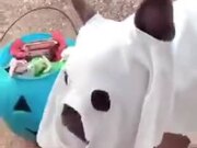 The Cutest Ghost Ever