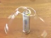 Cat Is Amazed By Physics