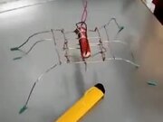 Doesn't Take Much For Creativity To Strike