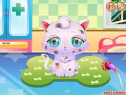 Bff Emergency Walkthrough