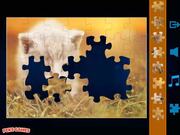 Jigsaw Puzzles Classic Walkthrough