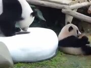 Savage Panda Parent