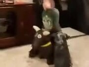 Little Boy Playing Cowboy