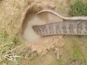 Using A Snake To Catch Fish