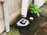 Auto-Created Smiley Face