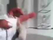 Hand Puppet Ninjas Fighting