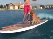 Motorized Serf Board