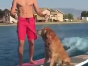 Motorized Serf Board