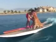 Motorized Serf Board