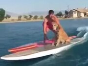 Motorized Serf Board