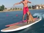 Motorized Serf Board