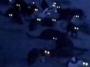 When Nightmares Become Real