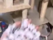 A New Kind Of Cat Magic