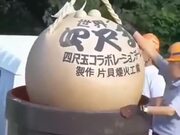 The Largest Fireworks