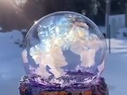 Bubble Beautifully Getting Frozen