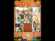 Jungle Slider Walkthrough