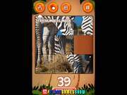 Jungle Slider Walkthrough