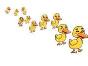 Brain Teaser Walkthrough