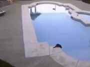 Compilation Of Funny Videos