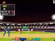 Cricket World Cup Walkthrough